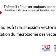 Les maladies à transmission vectorielle : implication du microbiome des vecteurs ?