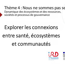 Explorer les connexions entre santé, écosystèmes et communautés. 