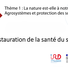 Restauration de la santé du sol et de la notion d’intensification écologique en agriculture