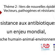 Résistance aux antibiotiques, un enjeu mondial, approche humain-animal-environnement