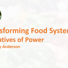 Transforming Food Systems   Narratives of Power