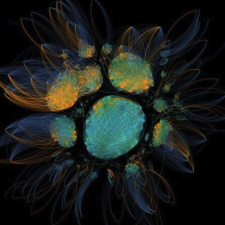 La vie microscopique dans les arts vivants des 20e et 21e siècles