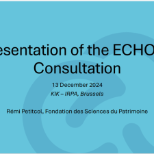 ECHOES Policy Event Workshop - Rémi Petitcol on the ECHOES Consultation