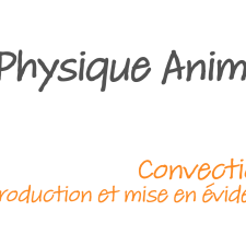 La physique animée - Convection : introduction et mise en évidence