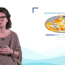 vignette circulation océanique