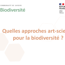 Quelles approches art-science pour la biodiversité ?
