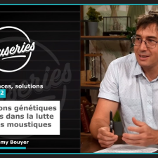 Les Causeries de la Santé - Moustiques : ennemis tenaces, solutions innovantes #2 - Les solutions génétiques encadrées dans la lutte contre les moustiques