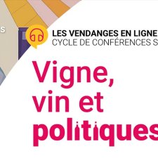 Les Vendanges en ligne