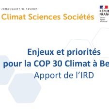 Enjeux et priorités pour la COP 30 Climat à Belem