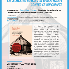 Rencontres Mesopolhis - Janvier 2025