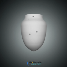 morphologie calpionnelle