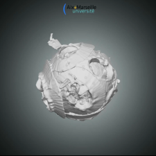 morphologie coccolithophoridé