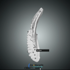 morphologie conodonte
