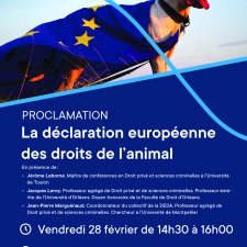Affiche deda