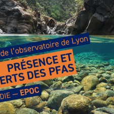 Présence et transferts des PFAS dans les écosystèmes aquatiques