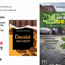 20 mars 2025