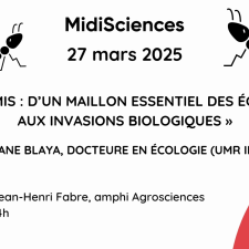 27 mars 2025