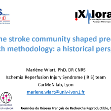 How the stroke community shaped preclinical research methodology: a historical perspective