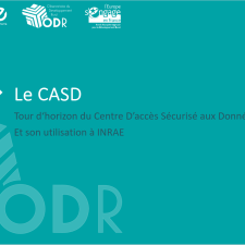 Café Numérique : CASD