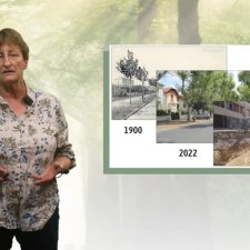 MOOC_Arbres2_Atger