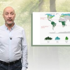 MOOC_Arbres_Blanc