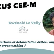 Focus CEE-M, N°3, Gwénolé Le Velly