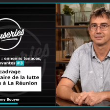 Les Causeries de la Santé - Moustiques : ennemis tenaces, solutions innovantes #3