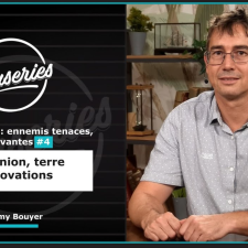 Les Causeries de la Santé - Moustiques : ennemis tenaces, solutions innovantes #4