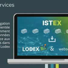 exploiter le modèle Lodex dédié aux web services de fouille de textes
