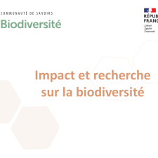 Impact et recherche sur la biodiversité