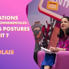 Miniature_langlais