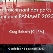 Effet rafraichissant des parcs 