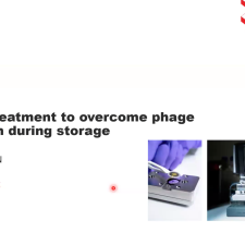 Surface treatment to overcome phage adsorption during storage