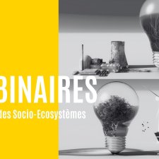 Vignette du webinaire
