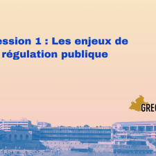 Les enjeux de la régulation publique