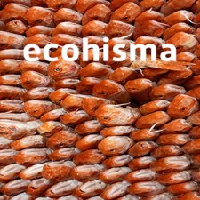 ECOHISMA Eco-histoire de la conservation marine au Maghreb : discours, pratiques et savoirs, XIXe-XXIe siècle
