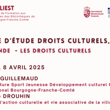 Journée d'étude droits culturels, laïcité -  Table ronde - les droits culturels IUT Dijon, 8 avril 2025. Stéphanie Guillemaud, Christophe Drouhin.