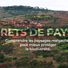 Film Secrets de paysage