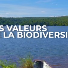 Film Les Valeurs de la biodiversité (VARUNA)