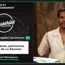 Patrimoine végétal réunionnais #1 - Les indigènes, patrimoine végétal de La Réunion