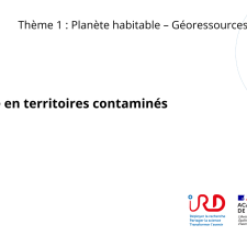 Pollutions environnementales, une vision sociologique