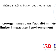 Des microorganismes dans l’activité minière pour limiter l’impact sur l’environnement