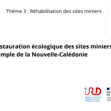 Phytoremédiation des sites miniers