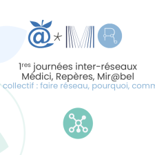 Premières journées inter-réseaux Médici, Repères, Mir@bel : jouer collectif, pourquoi, comment ?