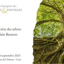 La vie secrète des arbres