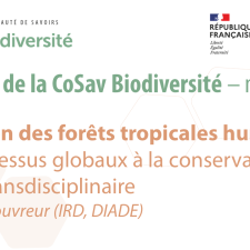 Évolution des forêts tropicales humides : des processus globaux à la conservation locale transdisciplinaire