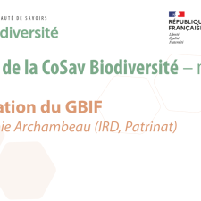 Présentation du GBIF