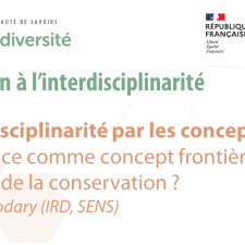 L’interdisciplinarité par les concepts ? La distance comme concept frontière en sciences de la conservation 
