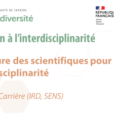 La posture des scientifiques pour l’interdisciplinarité