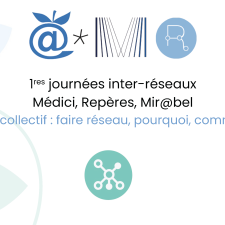 Premières journées inter-réseaux Médici, Repères, Mir@bel : jouer collectif, pourquoi, comment ?